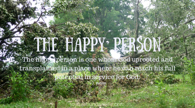 The Happy Person - Are You A Happy Person according to God's Word?
