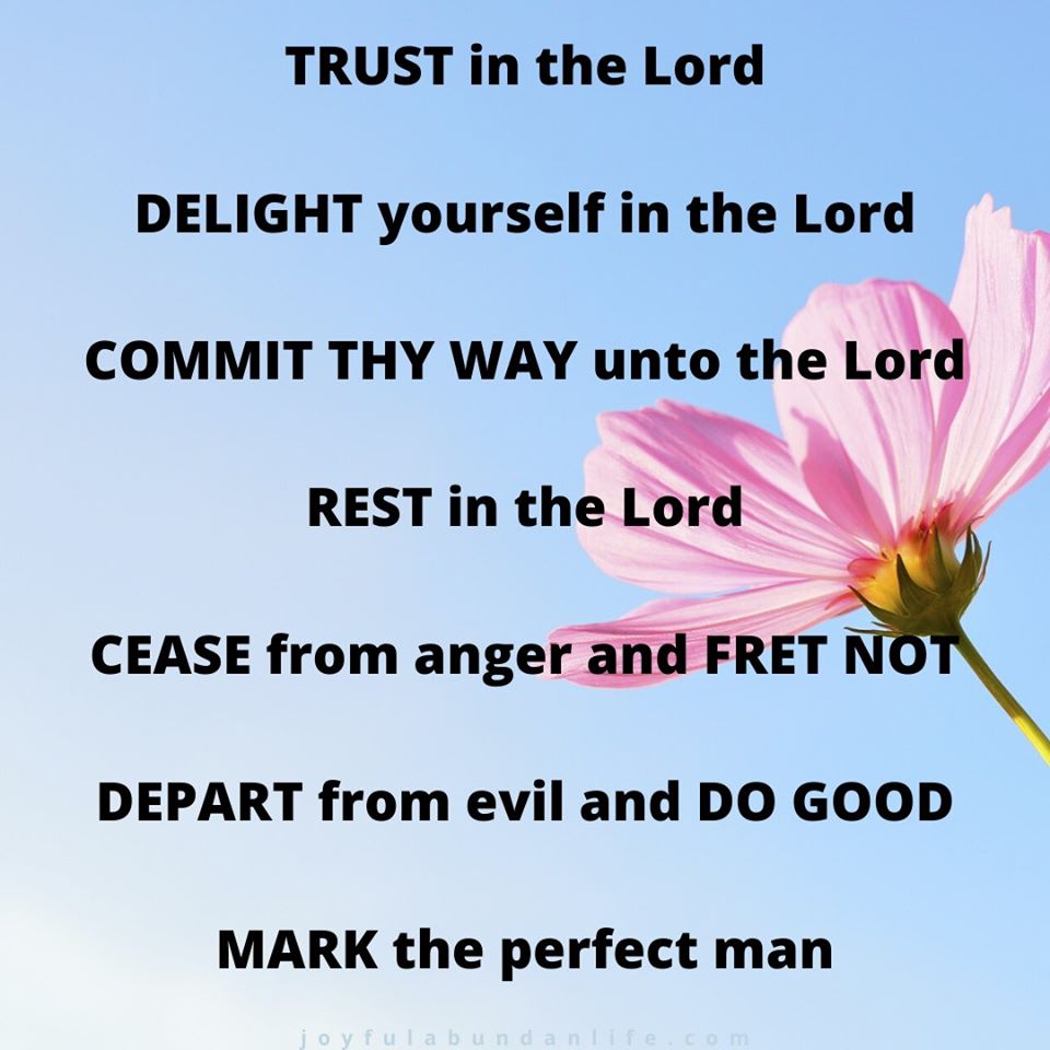 According to Psalm 37 here are 8 things we should do., not just during this pandemic but anytime in our walk with the Lord.