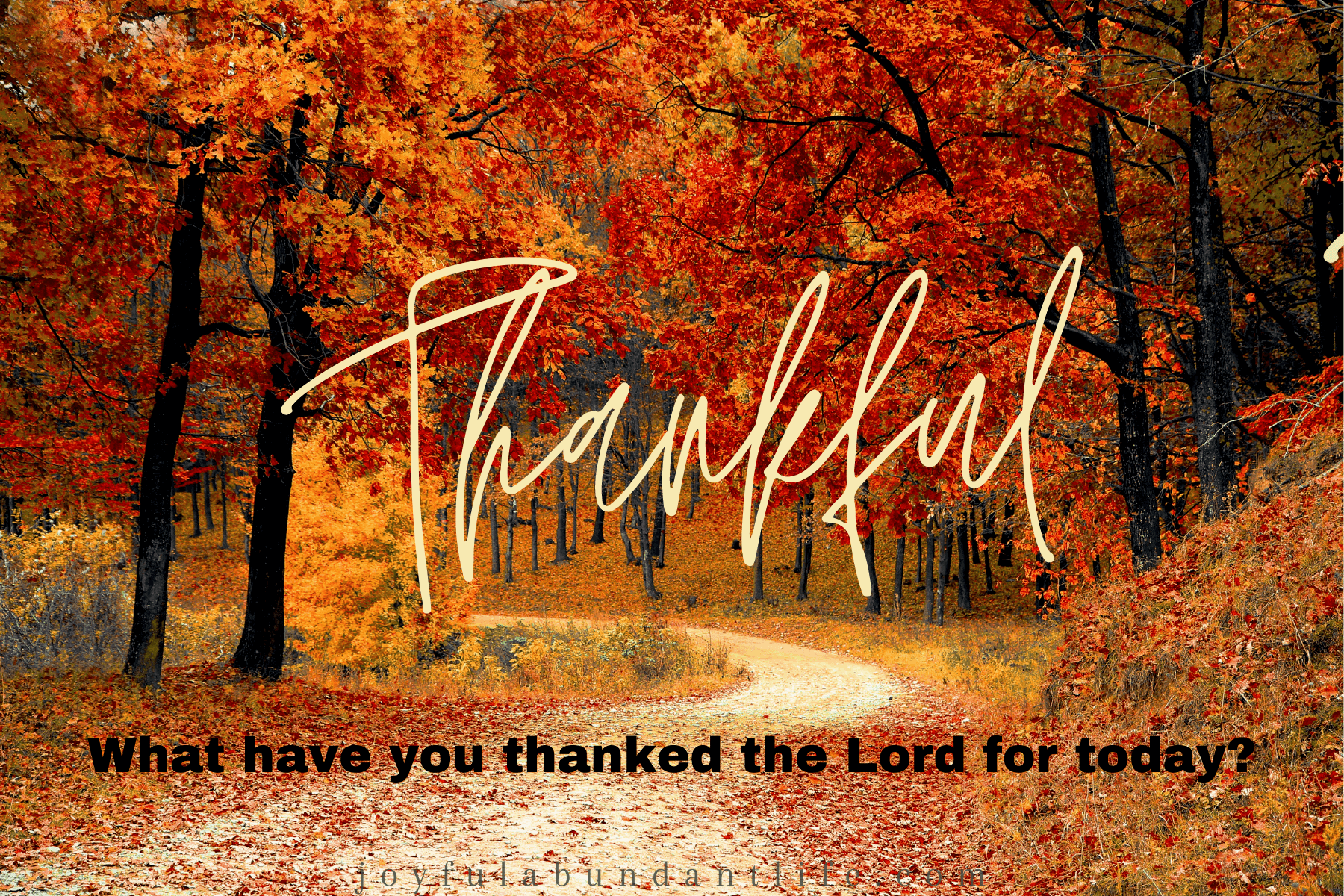 What have you thanked the Lord for today?